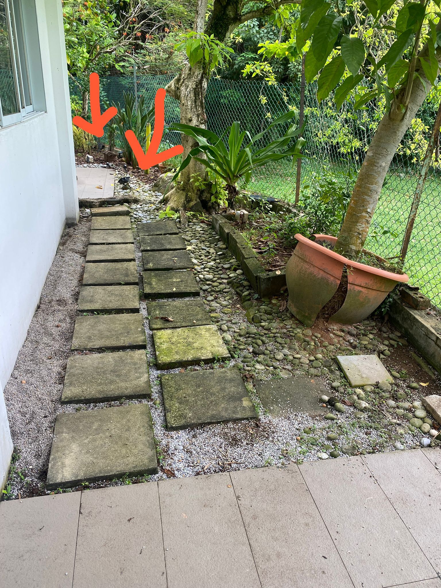 Before: Landed property garden pathway with old stepping stones and greenery